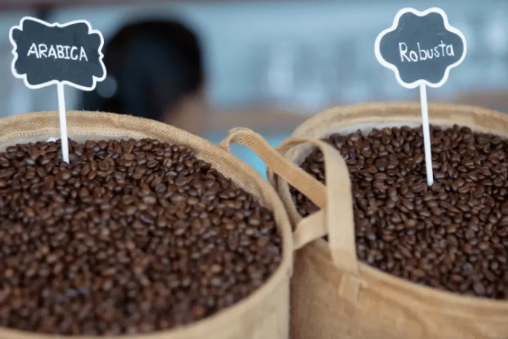 قهوه عربیکا و روبوستا چه تفاوتی با هم دارند؟