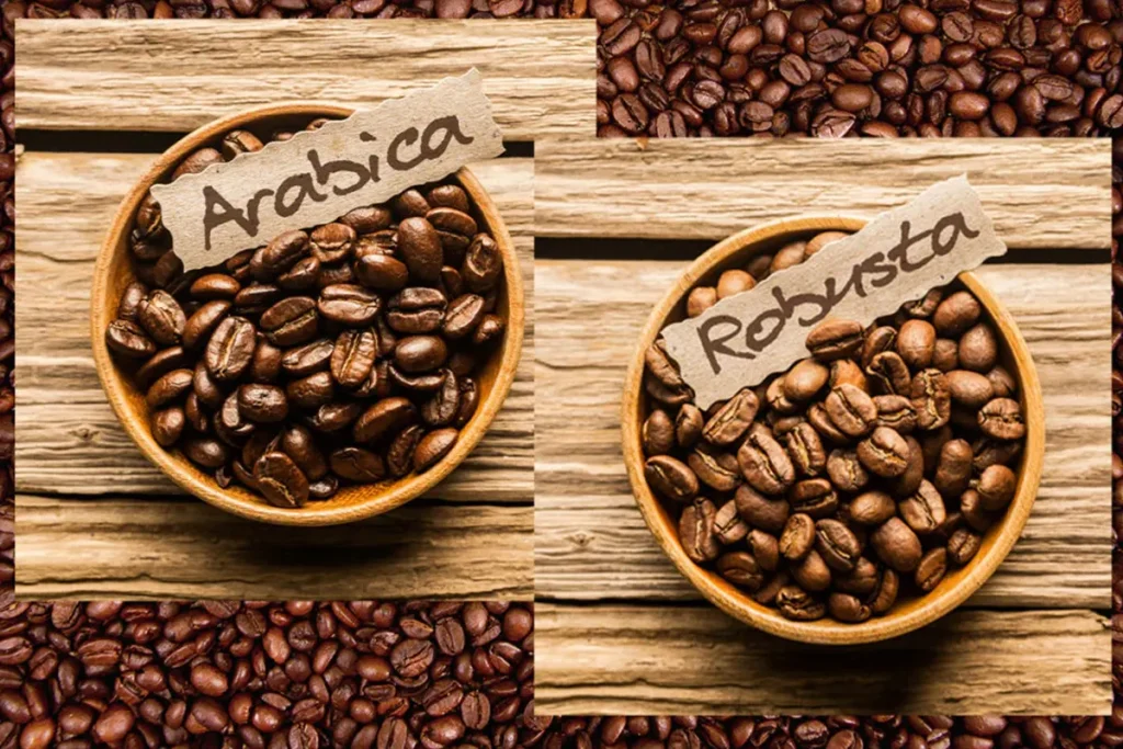 مقایسه قهوه عربیکا و روبوستا