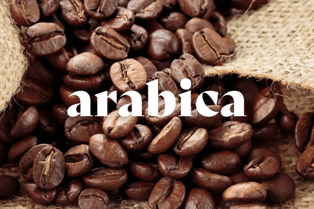 ویژگی‌های قهوه عربیکا