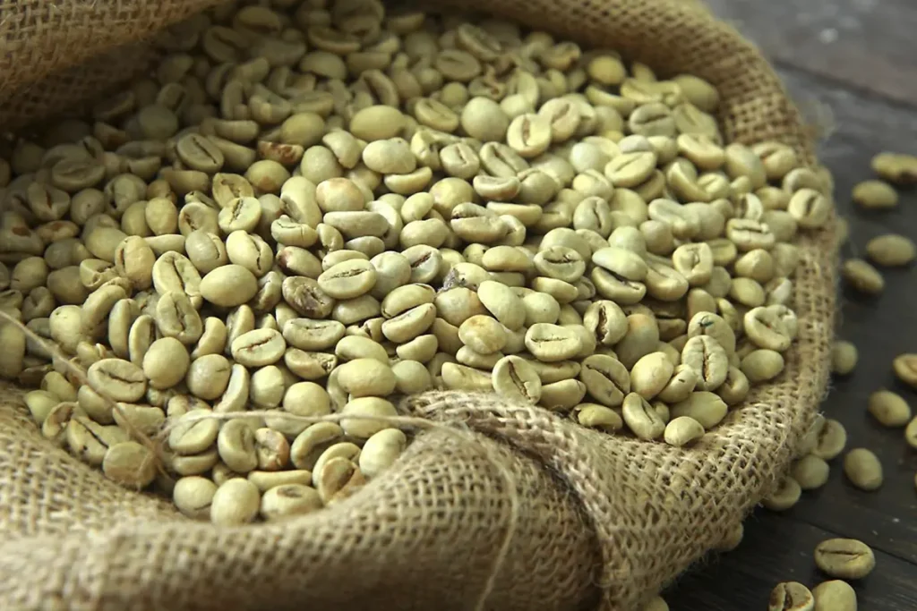 فرآوری قهوه اسپشیالیتی