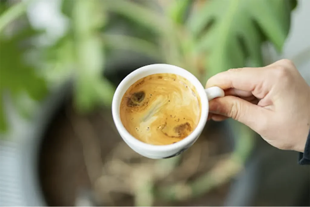 کرمای قهوه چیست؟