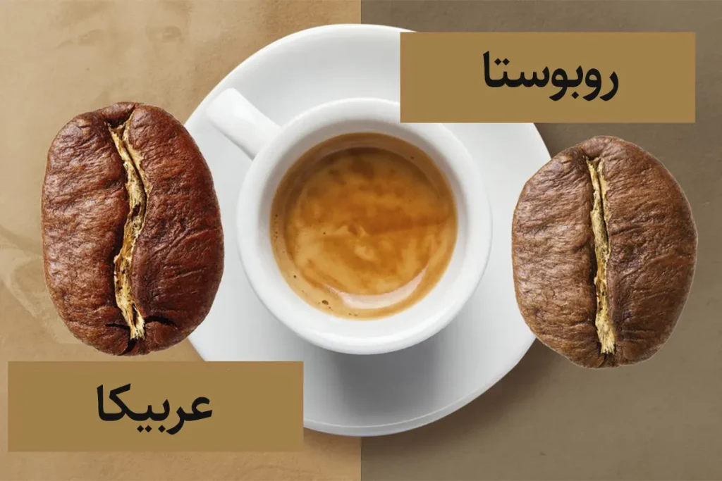 مقایسه عربیکا و روبوستا