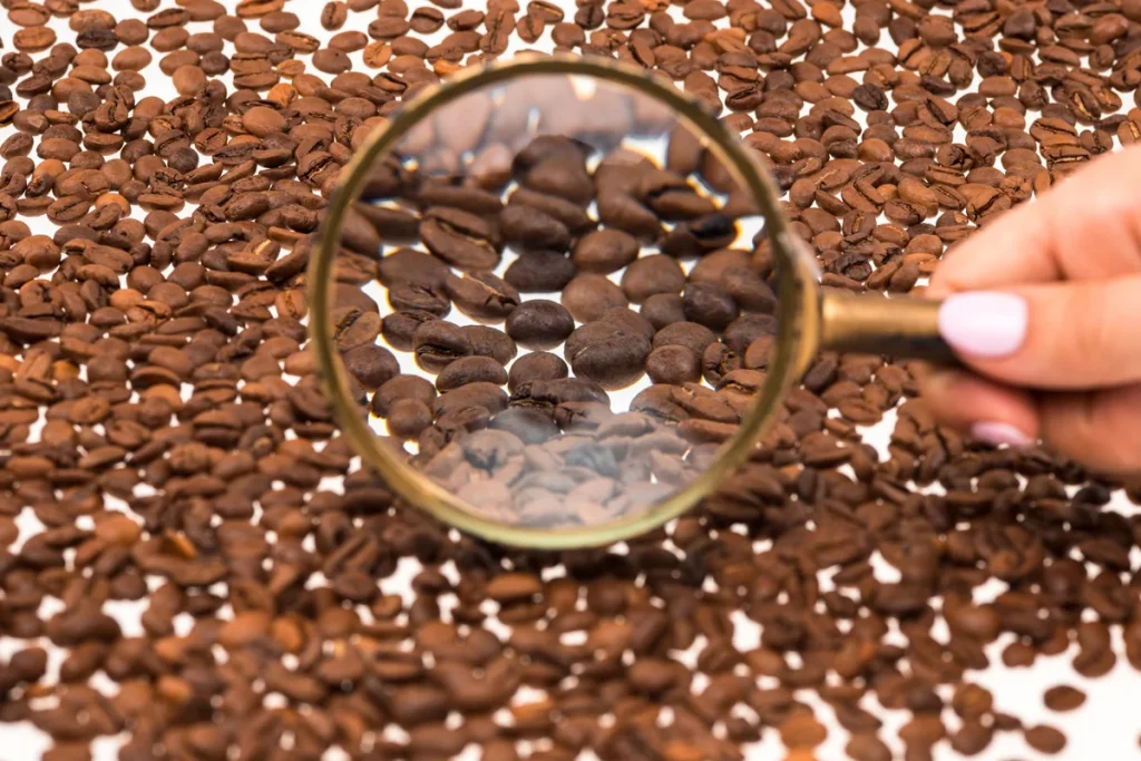 یکی از مهم‌ترین عواملی که طعم و عطر قهوه را تعیین می‌کند، تازگی آن است. در زمینه قهوه، تازگی را نباید با تاریخ انقضا اشتباه گرفت، بلکه تازگی مستقیماً به تاریخ برشته‌کاری (رُست) مربوط می‌شود.